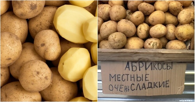 Ученые предлагают пересмотреть статус картофеля как овоща (3 фото)