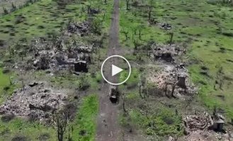 Выжженная земля и разрушенная техника врага: как выглядит Работино после многочисленных атак армии РФ