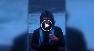 Norwegian meteorologist hit in the face with a fish while reporting on a severe storm