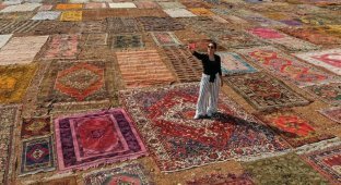 What do Turks grow in carpet fields? (7 photos)