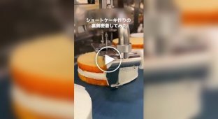 Even conveyor production looks perfect in Japan