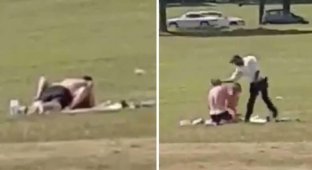 Ни стыда, ни совести: пьяная парочка занялась сексом на глазах у детей в парке (4 фото + 1 видео)