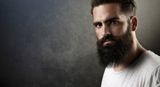 Ученые доказали, что борода технически состоит из лобковых волос (5 фото)