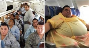 In Japan, a plane with a sumo team could not take off due to overweight (2 photos)