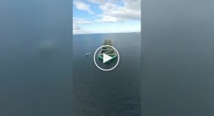 Havfarm 1: крупнейшая в мире полупогружная морская ферма