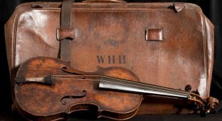 A man found a violin worth $1.7 million in his attic (4 photos)