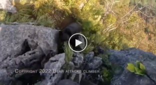 Rock climber repulsed bear attack