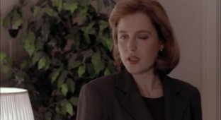Agent Scully winks during a conversation (32 photos)