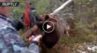 Группа охотников спасла медвежонка из металлической браконьерской петли