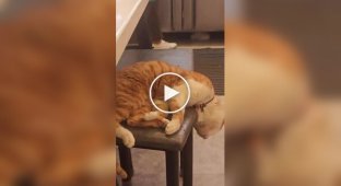 Максимальная забота о клиенте