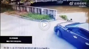 A motorist interrupted the fishing process and miraculously did not crush the fisherman