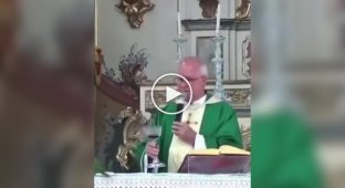 In Portugal, during a church service, a parrot flew into a church to drink wine