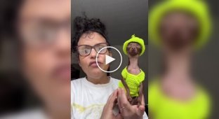 Яскравий костюм перетворює собачку на міні-Снуп Дога