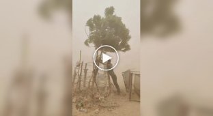 Индиец бросил вызов песчаной буре