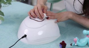 Особенности сушки разных типов лака: базы, основного слоя и топа