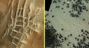 Сотні чорних павуків помічені на Марсі (3 фото)