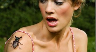 Самые странные, уродливые и ужасные насекомые мира (18 фото)