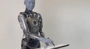 Humanoid robot Ameca drew a cat and responded to criticism (2 photos + 1 video)