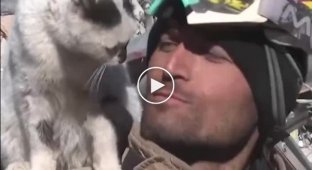 The cat, which was taken from the rubble, does not depart from the rescuer