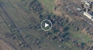 РСЗО HIMARS уничтожает российский самоходный миномет 2С4 «Тюльпан» в Запорожской области