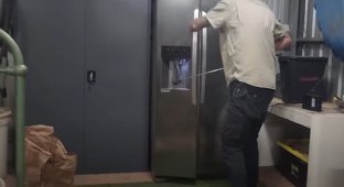 Змея застряла в холодильнике австралийцев (2 фото + 1 видео)