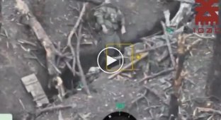Наслідки невдалої атаки російських військових у районі села Степове Донецької області