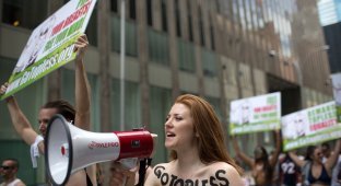 Активистки прошли по Нью-Йорку, обнажив груди (17 фото)