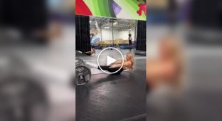 Цирковая артистка продемонстрировала удивительную растяжку