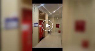 Psychological prank with an elevator
