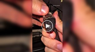 Хозяин помогает змее сбросить кожу