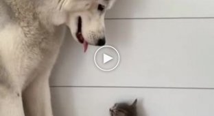 Будешь моим ребенком