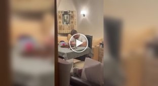 A prank on a Lego fan