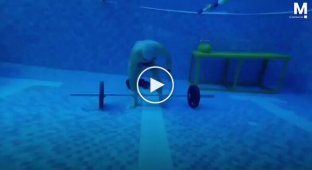 Underwater with a Barbell: Extreme Workout at the Bottom of a Pool