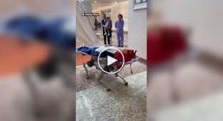 In China, they are creating robot rescue dogs