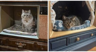 Лежанки из старых телевизоров и радиоприёмников (7 фото + 1 видео)