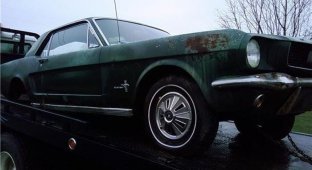 Путь восстановления Ford Mustang (7 фото)