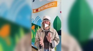 A dog was thrown off a bridge and landed on the roof of a distillery