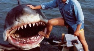 Photos from the set of Steven Spielberg's Jaws (9 photos)