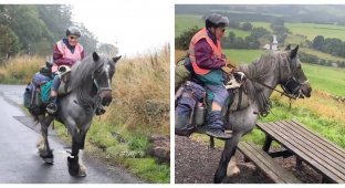 82-year-old tourist rode 965 km on a pony with her dog (12 photos)