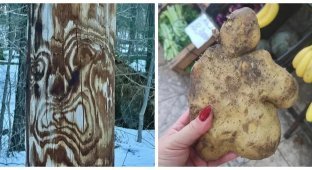 30 фото, запечатлевших маленькие чудеса обыденности и повседневности (31 фото)