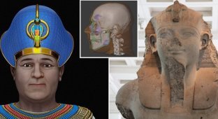 Лицо Аменхотепа III восстановили по черепу (6 фото + 1 видео)