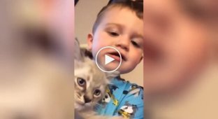 Котенок и мальчик нашли общий язык