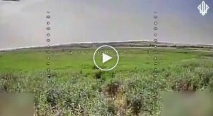Штурм на электросамокате и мотоциклах закончился ликвидацией врага на Покровском направлении
