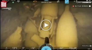 Ancient Roman ship with hundreds of surviving amphoras found off the coast of Italy