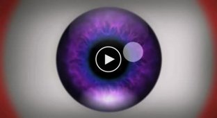 Оптическая иллюзия вызывающая галлюцинационные эффекты