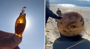 16 things that were accidentally discovered by people on the beach (17 photos)