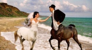 Творческое видение свадебных фотографов (20 фото)