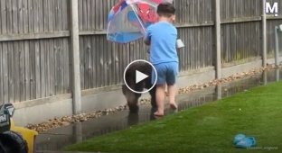 A boy covered his dog with an umbrella during a walk