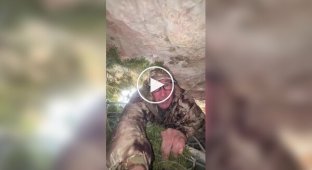 Безумие в прямом эфире: мужчина залез в берлогу спящей медведицы