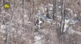 Occupier ties his henchman to a tree in the combat zone and leaves him